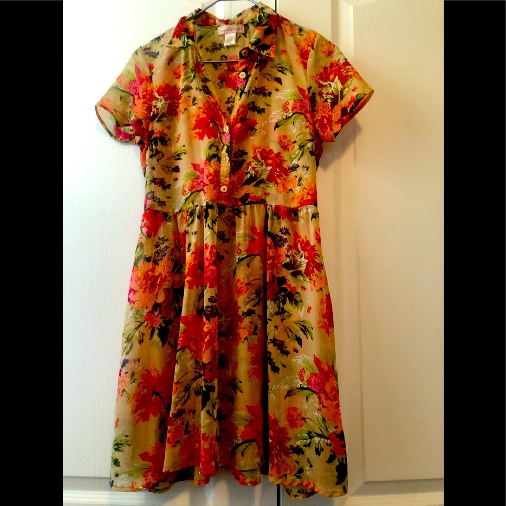 BAND OF GYPSIES ultra sheer mini dress